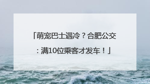 萌宠巴士遇冷？合肥公交：满10位乘客才发车！