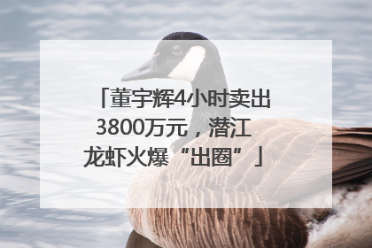 董宇辉4小时卖出3800万元，潜江龙虾火爆“出圈”