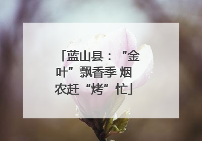 蓝山县：“金叶”飘香季 烟农赶“烤”忙