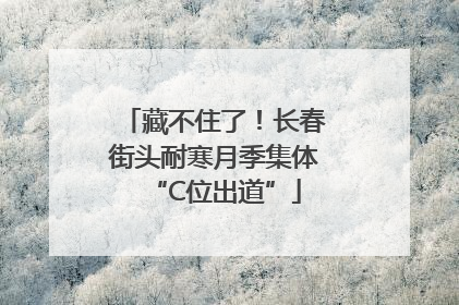 藏不住了！长春街头耐寒月季集体“C位出道”