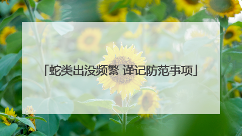 蛇类出没频繁 谨记防范事项