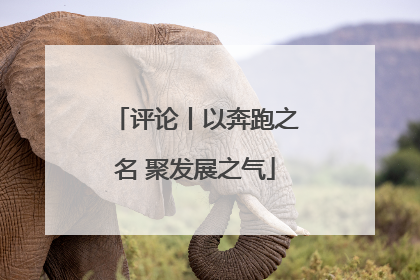 评论丨以奔跑之名 聚发展之气