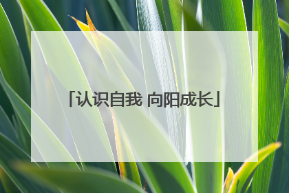 认识自我 向阳成长