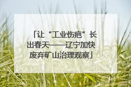 让“工业伤疤”长出春天——辽宁加快废弃矿山治理观察