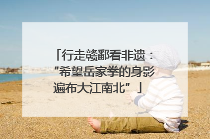 行走赣鄱看非遗：“希望岳家拳的身影遍布大江南北”