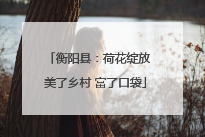 衡阳县：荷花绽放 美了乡村 富了口袋