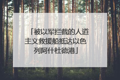 被以军拦截的人道主义救援船抵达以色列阿什杜德港