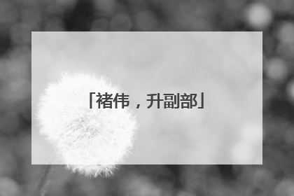 褚伟，升副部