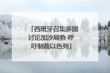 西班牙召集多国讨论加沙局势 呼吁制裁以色列