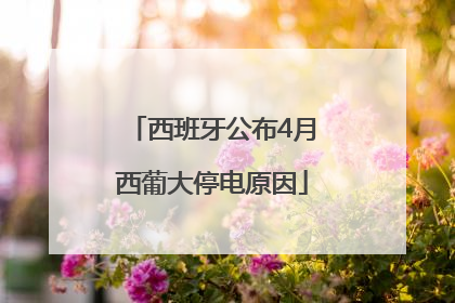 西班牙公布4月西葡大停电原因
