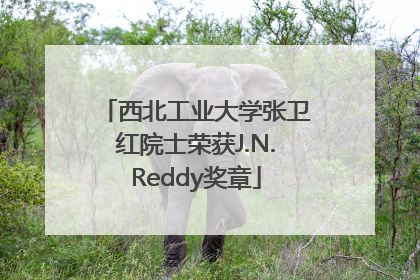 西北工业大学张卫红院士荣获J.N.Reddy奖章