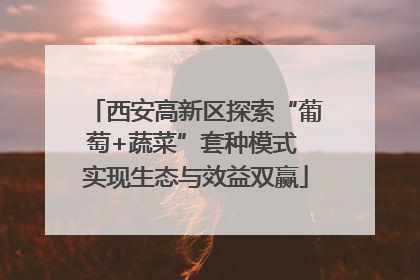 西安高新区探索“葡萄+蔬菜”套种模式 实现生态与效益双赢