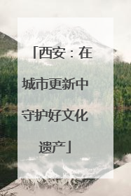 西安：在城市更新中守护好文化遗产