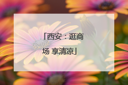 西安：逛商场 享清凉