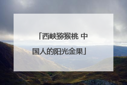 西峡猕猴桃 中国人的阳光金果
