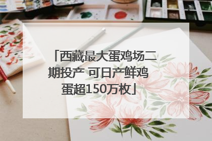 西藏最大蛋鸡场二期投产 可日产鲜鸡蛋超150万枚