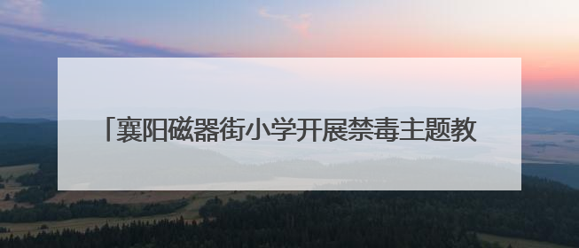 襄阳磁器街小学开展禁毒主题教育 筑牢青少年“无毒防线”