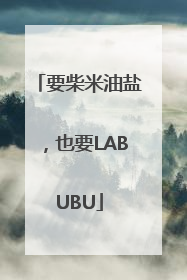 要柴米油盐，也要LABUBU
