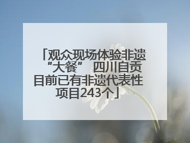 观众现场体验非遗“大餐” 四川自贡目前已有非遗代表性项目243个