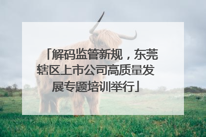 解码监管新规，东莞辖区上市公司高质量发展专题培训举行