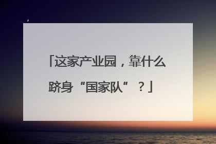 这家产业园，靠什么跻身“国家队”？