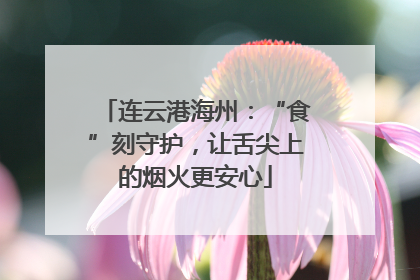 连云港海州：“食”刻守护，让舌尖上的烟火更安心