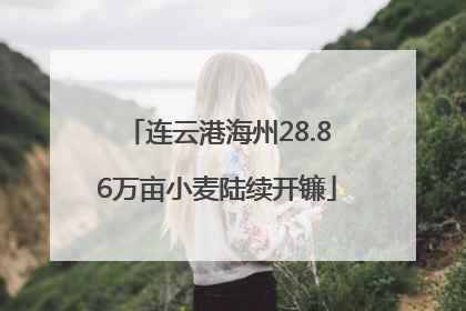 连云港海州28.86万亩小麦陆续开镰