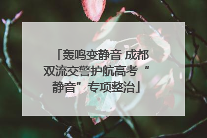轰鸣变静音 成都双流交警护航高考“静音”专项整治