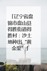 辽宁省盘锦市盘山县得胜街道得胜村：沙土地种出“黄金果”