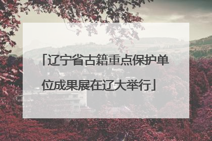 辽宁省古籍重点保护单位成果展在辽大举行