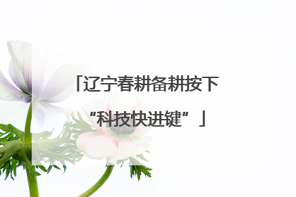 辽宁春耕备耕按下“科技快进键”