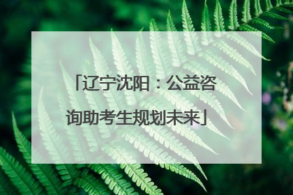 辽宁沈阳：公益咨询助考生规划未来