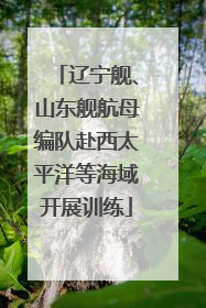 辽宁舰、山东舰航母编队赴西太平洋等海域开展训练