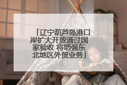 辽宁葫芦岛港口岸扩大开放通过国家验收 将增强东北地区外贸业务