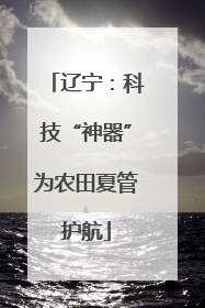 辽宁：科技“神器”为农田夏管护航