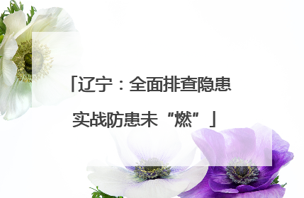辽宁：全面排查隐患 实战防患未“燃”