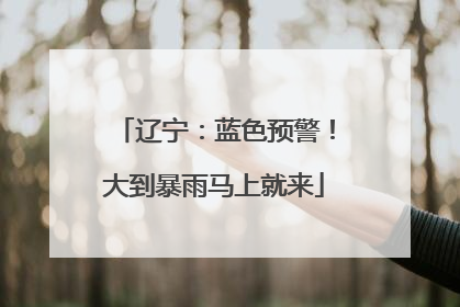 辽宁：蓝色预警！大到暴雨马上就来