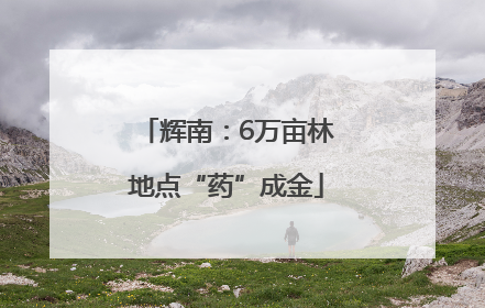 辉南：6万亩林地点“药”成金