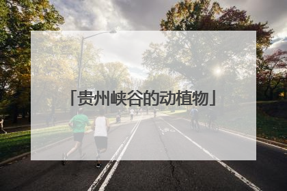 贵州峡谷的动植物