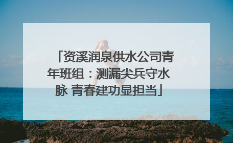 资溪润泉供水公司青年班组：测漏尖兵守水脉 青春建功显担当