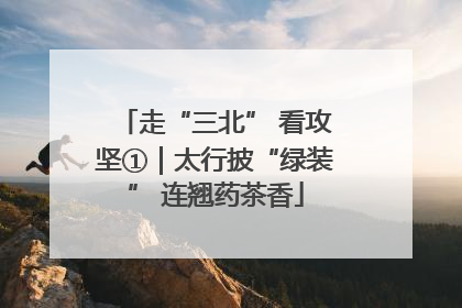 走“三北” 看攻坚①｜太行披“绿装” 连翘药茶香