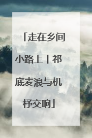 走在乡间小路上丨祁底麦浪与机杼交响