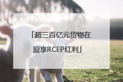超三百亿元货物在厦享RCEP红利