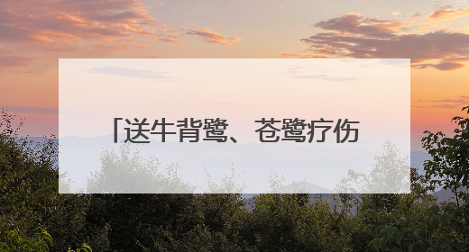 送牛背鹭、苍鹭疗伤、帮山麻雀幼鸟搬家，崇明警民救助多只受困野生保护鸟类