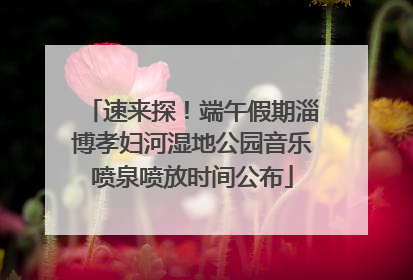 速来探！端午假期淄博孝妇河湿地公园音乐喷泉喷放时间公布