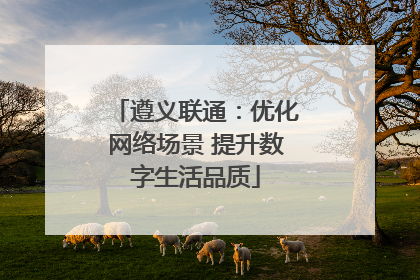 遵义联通：优化网络场景 提升数字生活品质
