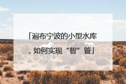 遍布宁波的小型水库，如何实现“智”管