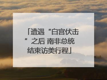 遭遇“白宫伏击”之后 南非总统结束访美行程