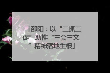 邵阳：以“三抓三促”助推“三会三文”精神落地生根
