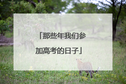 那些年我们参加高考的日子